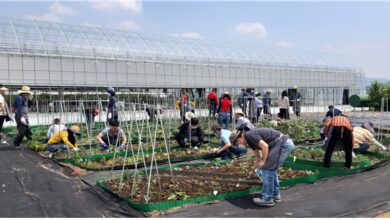 Photo of 도시농업 전문가 양성’교육 수료 및 도시텃밭 분양