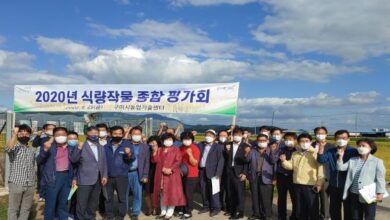 Photo of 농업기술센터 벼 작황 및 신품종 종합평가회 가져