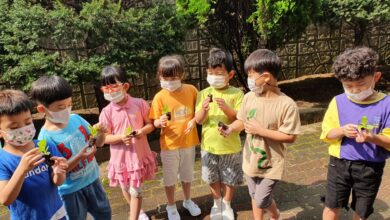 Photo of “꼬마배추야! 무럭무럭 잘 자라렴!” 녹색 환경교육 배추 모종 심기