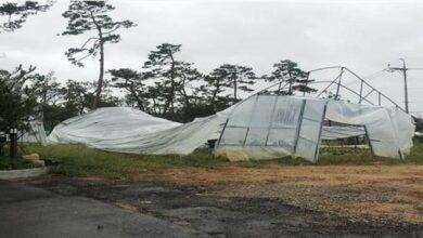 Photo of 포항시, 경주시, 청송군영양군 (읍면 단위) 특별재난지역 추가 선포