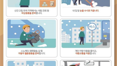 Photo of 경북도, 28~29일 대설․한파․강풍․풍랑 대처 비상체제 돌입
