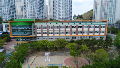 Photo of “옥계동부초, 2020 경북 학교체육 최우수교, 전국 어울림 프로그램 우수교 선정, 전국 학생 생명존중 교육부 장관상 수상