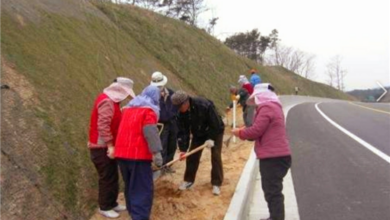 Photo of 2021년 1단계 공공근로사업 시행