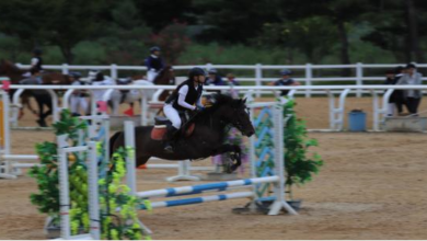 Photo of 구미시승마장 「유소년승마단」단원 모집