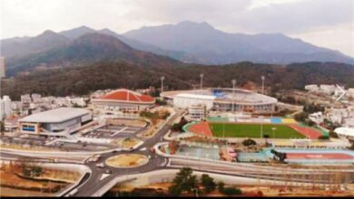 Photo of 제102회 전국체전 D-200