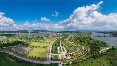 Photo of “시민들의 힐링공간”낙동강체육공원 활성화 박차!