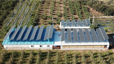 Photo of 경북도, 햇살에너지농사 지원사업… 뜨거운 호응