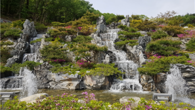 Photo of 구미성리학역사관 여름맞이 수경시설 새단장