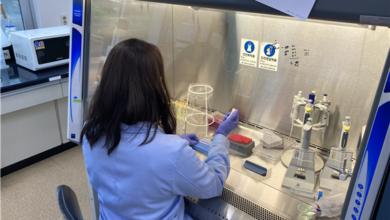 Photo of 경북도, 노로바이러스 식중독 주의 당부