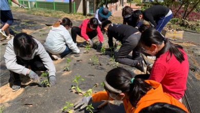 Photo of 학생들을 텃밭으로! 산동초, 농작물 심기로 실생활을 교육하다