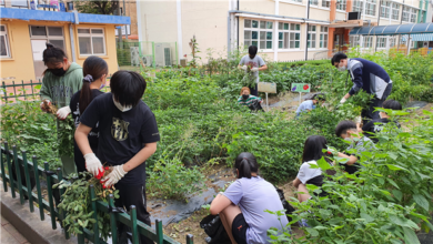 Photo of 우리가 직접 가꾼 농산물로 건강하게 !