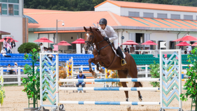 Photo of 제50회 전국학생승마선수권대회 및 제8회 유소년전국승마대회 개최