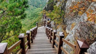 Photo of 팔공산국립공원 지정 타당성 조사 본격화,  대구·경북 대응 어떻게?
