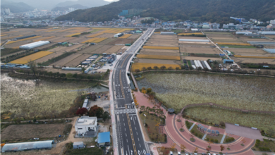 Photo of 구미 낙동강체육공원 속시원한 나들이