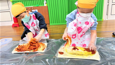 Photo of 아삭아삭! 내 손으로 담궜어요! – 도산유치원, 김장체험 실시로 느껴본 기쁨 –