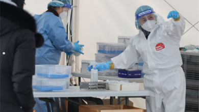 Photo of 경북도내, 코로나19 확진자 619명(국내 614, 해외 5) 발생