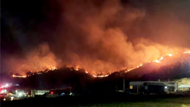Photo of 울진 산불 화재 재해구호지원 현황