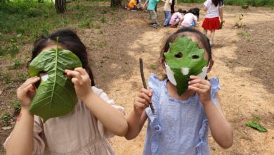 Photo of “방과후 놀이쉼터” 운영으로 교육회복에 앞장선다! – 경북교육청! 방과후 놀이쉼터 담당 교원 연수 실시 –