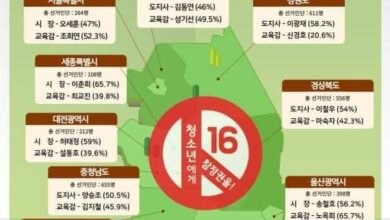 Photo of 구미시 청소년이 직접 뽑은 6.1 지방선거 청소년모의투표 결과는?