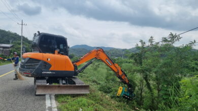 Photo of 농소면 도로법면 잡목 제거 총력