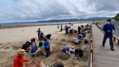 Photo of 구미시 공무원 및 유관기관-포항- 피해복구 봉사활동