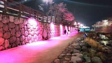Photo of 구미 금오천, (야간조명) 낭만불빛으로 물들다