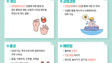 Photo of 수족구병 발생 주의! 개인위생 수칙 준수가 중요