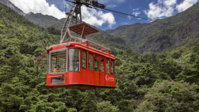 Photo of “설 명절엔 금오산 케이블카! 안전한 등산 점검 만점”