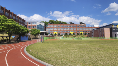 Photo of 경북교육청, 영주 동산여자중학교 경북 중등 최초, “IB 후보학교 승인”