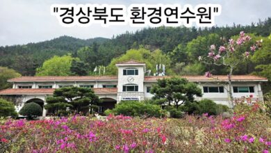 Photo of 누구나 한 번쯤 찾고 싶은 곳, 경북환경연수원의 눈부신 4월