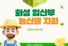 Photo of 경북도, 임산부 친환경농산물 지원사업 본격 접수… 엄마와 아기의 건강한 하루 응원