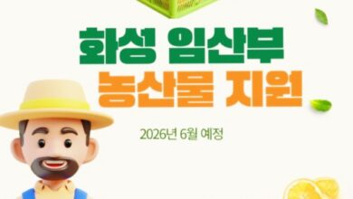 Photo of 경북도, 임산부 친환경농산물 지원사업 본격 접수… 엄마와 아기의 건강한 하루 응원