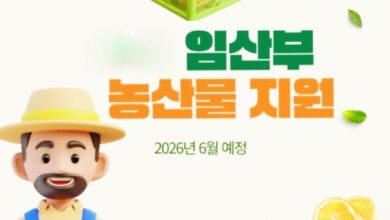 Photo of 경북도, 임산부 친환경농산물 지원사업 본격 접수… 엄마와 아기의 건강한 하루 응원