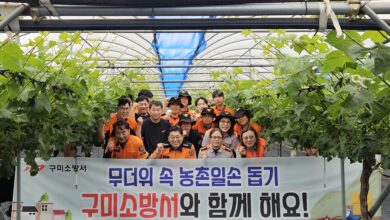 Photo of 구미소방서, 농번기 맞아 농촌일손돕기 봉사활동 실시